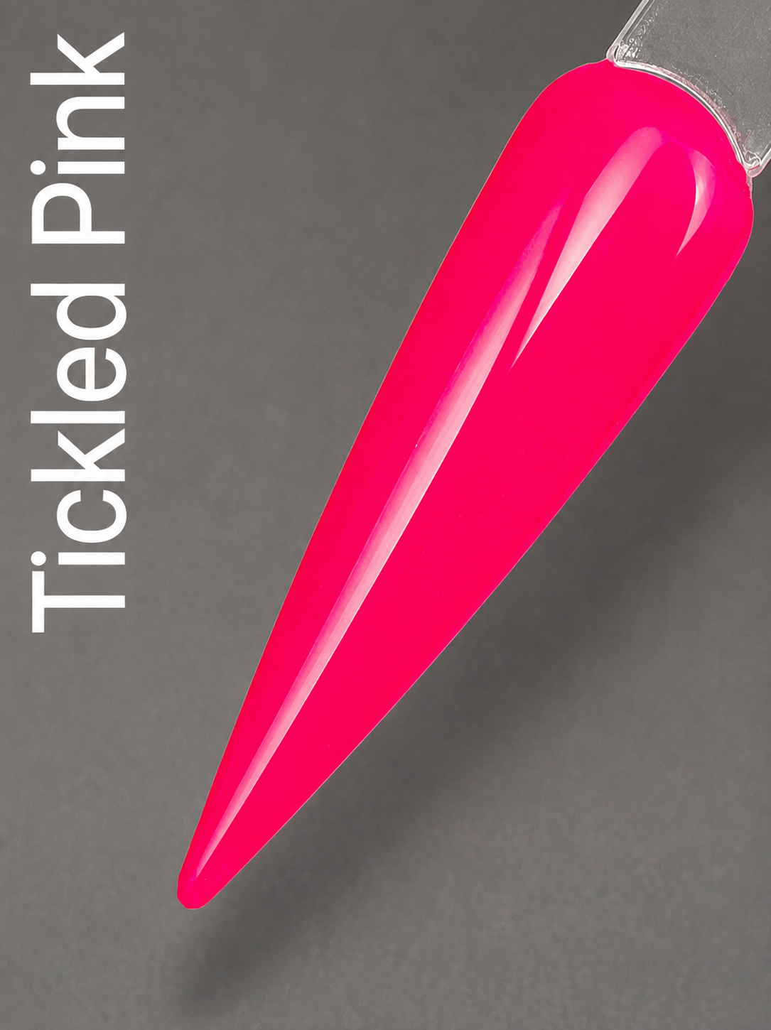 Neon Collection