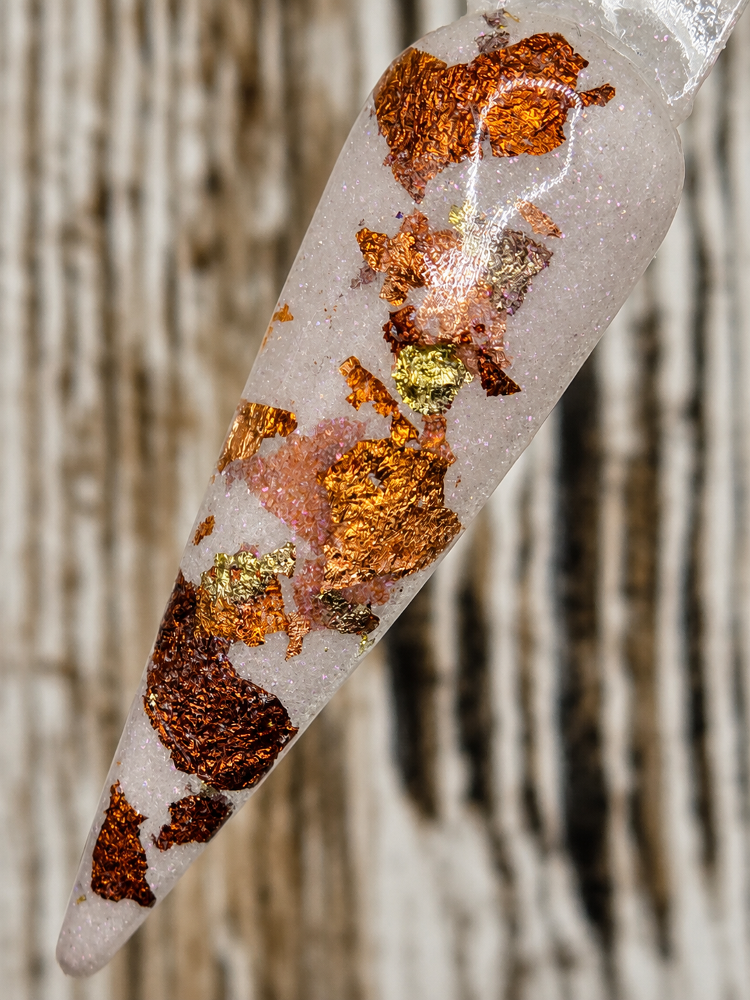 Autumn Foliage Collection
