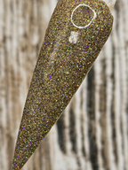 Autumn Foliage Collection